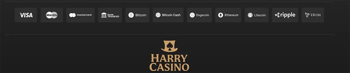 Payment methods row showing Visa, Maestro, Mastercard, bank transfer, Bitcoin, Bitcoin Cash, Dogecoin, Ethereum, Litecoin, Ripple, and TRON, with the Harry Casino logo below on a dark background.