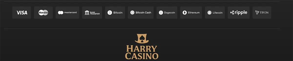 Payment methods row showing Visa, Maestro, Mastercard, bank transfer, Bitcoin, Bitcoin Cash, Dogecoin, Ethereum, Litecoin, Ripple, and TRON, with the Harry Casino logo below on a dark background.